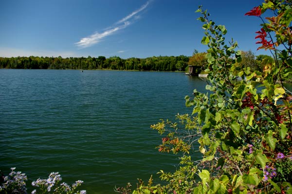 Hillsburgh Pond