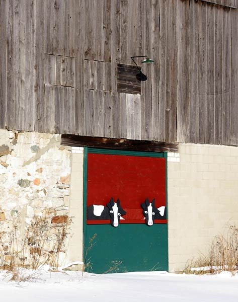 Cow Barn Doors