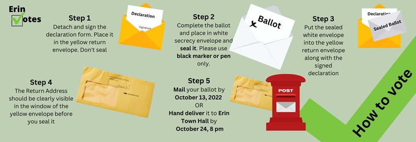 Step by step information on how to vote